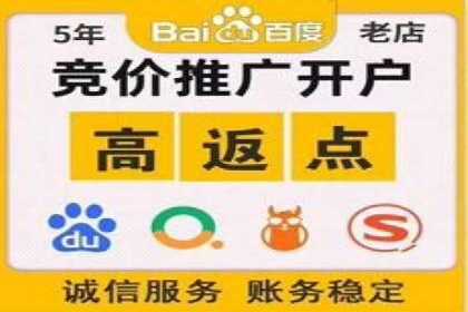 解析SEM投放策略：从经典案例看效果